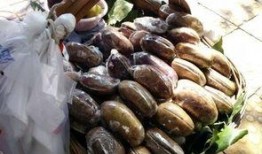 贵阳娱乐吃瓜,吃瓜群众的热门话题大盘点